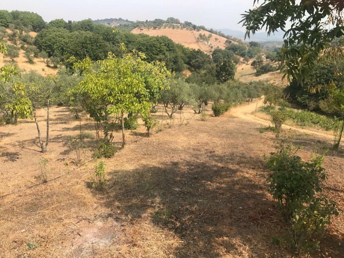Casa Rural En Constantina Esterno foto