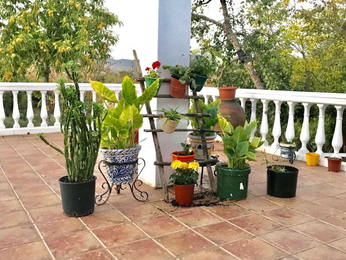 Casa Rural En Constantina Esterno foto