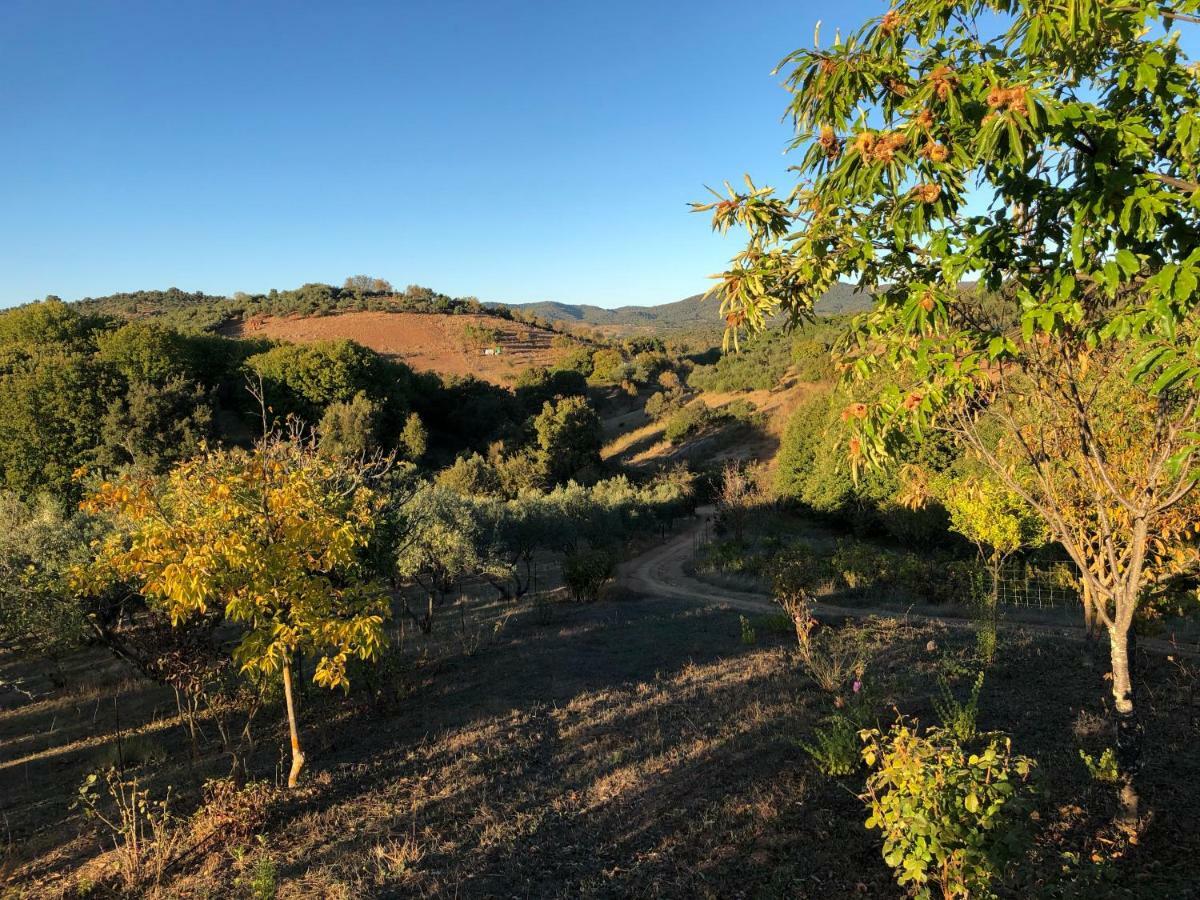 Casa Rural En Constantina Esterno foto